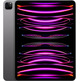 Apple iPad Pro 11 '' 2022 Wifi 1TB Space Grey MNXW3TY/A