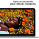 Apple Macbook Neo (2026) 13 "A18 Pro 8GB RAM 256GB SSD Silver