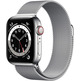 Apple Watch Series 6 GPS + Cell 40mm Stainless Steel