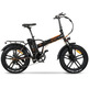 Electric Bike FAT Bike Youin You-Ride Texas Black/Orange