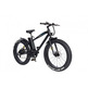 Skateflash Urban Fat 26 '' 250W Electric Bike