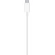 Apple Magsafe 20W USB-C Charger