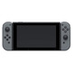 Nintendo Switch Grey