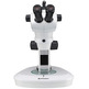 Stereomicroscope Bresser Science ETD-201 Trino