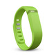 FitBit Flex Wireless Activity Sleep Band Green