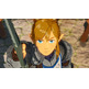 Hyrule Warriors: The Age of the Switch Cataclysm