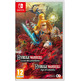 Hyrule Warriors: The Age of the Switch Cataclysm