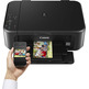 Canon Multifunction Pixma MG3650S Black