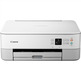 Canon Pixma TS5351A Wifi/White Duplex Photo Multifunction Printer