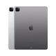 iPad Pro 2022 12.9 '' M2 2 TB Wi-Fi + Space Grey