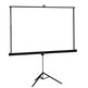 Screen with tripod iggual PSITS180 180x180