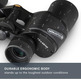 Binoculars Celestron Ultima Porro 10x42