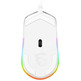 Mouse MSI Clutch GM11 White