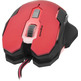 Mouse Speedlink Contus 3200 DPI Optical