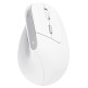 Vertical Mouse Wireless Trust Bayo II Rechargeable 2400 DPI