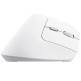 Vertical Mouse Wireless Trust Bayo II Rechargeable 2400 DPI