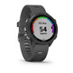 Sportwatch Garmin Forerunner 245 Gris GPS