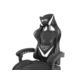 Chair Gaming Fury Avenger L Negra/Blanca