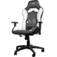 Chair Gaming Speedlink Looter Black/White