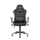 Chair Gaming Trust GTX 707 Rest Black