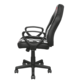 Chair Gaming Trust Gxt 702 Ryon Junior