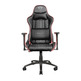 Chair Gaming Trust GXT717 Rayza RGB