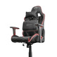Chair Gaming Trust GXT717 Rayza RGB