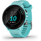 Smartwatch Garmin Forerunner 55 Blue