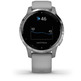 Smartwatch Garmin Sport Vivoactive 4S Silver Gray