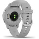 Smartwatch Garmin Venu 2S GPS Silver and Gris