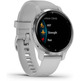Smartwatch Garmin Venu 2S GPS Silver and Gris