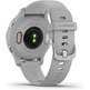 Smartwatch Garmin Venu 2S GPS Silver and Gris