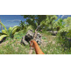 Stranded Deep Switch