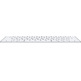 Apple Magic Keyboard MK2A3Y/A Silver Wireless Keyboard