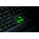 Keyboard Razer Blackwidow Green Switch