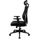 Thunder X3 Yama 1 Black Ergonomic Chair