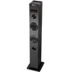 NGS Sky Charm Black Sound Tower